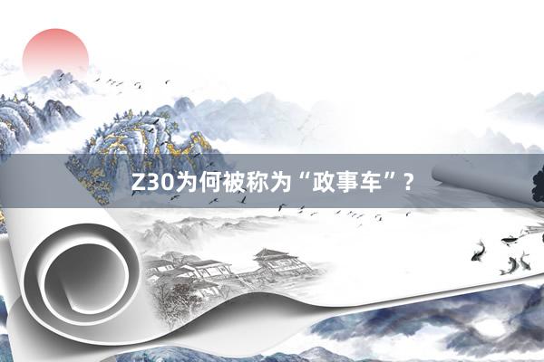 Z30为何被称为“政事车”?