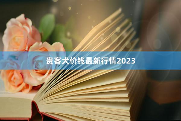 贵客犬价钱最新行情2023